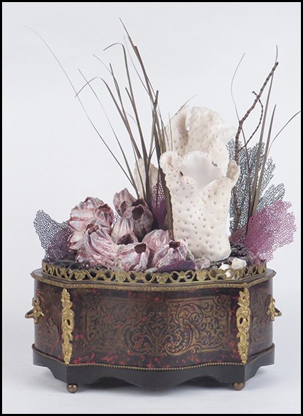 CONTINENTAL ORMOLU MOUNTED BOULLE PLANTER.: CONTINENTAL ORMOLU MOUNTED BOULLE PLANTER. Fitted with shells and coral Overall: 7.5" x 15" x 10"