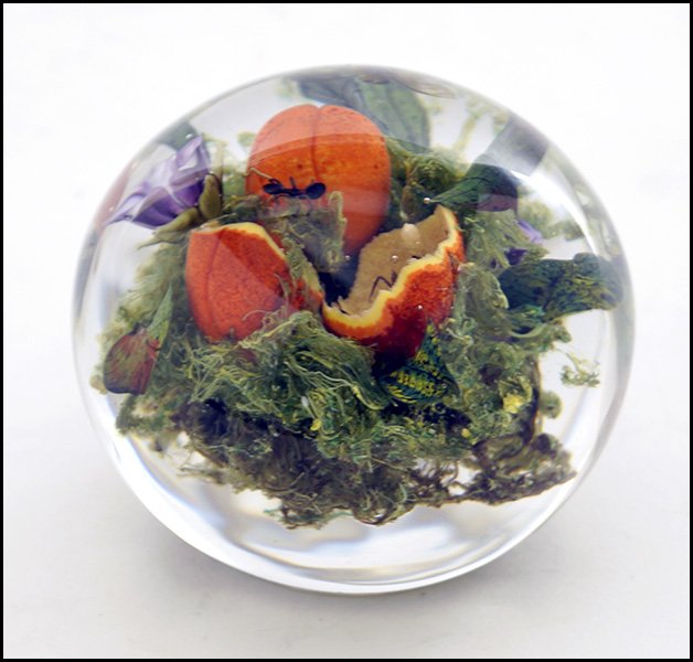 PAUL STANKARD (AMERICAN, B. 1943) UNTITLED PAPERWEIGHT.: PAUL STANKARD (AMERICAN, B. 1943) UNTITLED PAPERWEIGHT. Lampwork top depicts fruits with ants within, and a bumble bee above. Underside of paperweight bears a mossy face with a cane reading "seeds". B