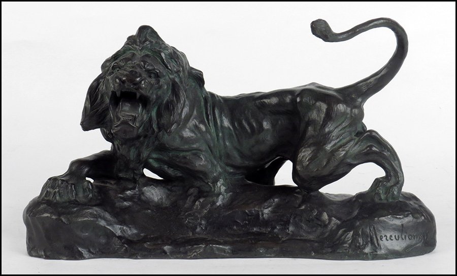 JACQUES MERCULIANO (ITALIAN, 1859-1935) BRONZE LION.: JACQUES MERCULIANO (ITALIAN, 1859-1935) BRONZE LION. Signed LR on base H: 8.5" W: 15" D: 6"