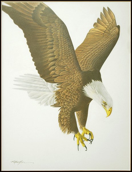 RICHARD MUELLER (AMERICAN, 20TH CENTURY) THE MARAUDER.: RICHARD MUELLER (AMERICAN, 20TH CENTURY) THE MARAUDER. Colored pencil, pencil signed LL, titled and signed en verso Sight: 18" x 13.5" Frame: 28" x 24"