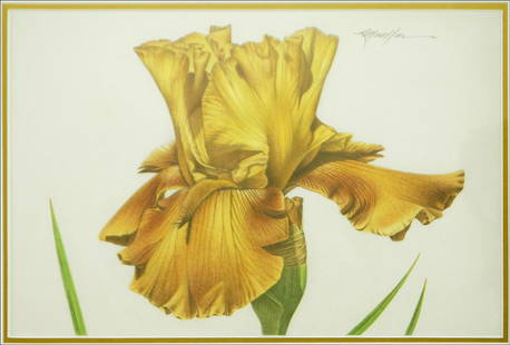 RICHARD MUELLER (AMERICAN, 20TH CENTURY) PIROUETTE: BEA: RICHARD MUELLER (AMERICAN, 20TH CENTURY) PIROUETTE: BEARDED IRIS. Colored pencil, pencil signed UR, titled and signed en verso Sight: 8" x 12" Frame: 17.5" x 21.5"