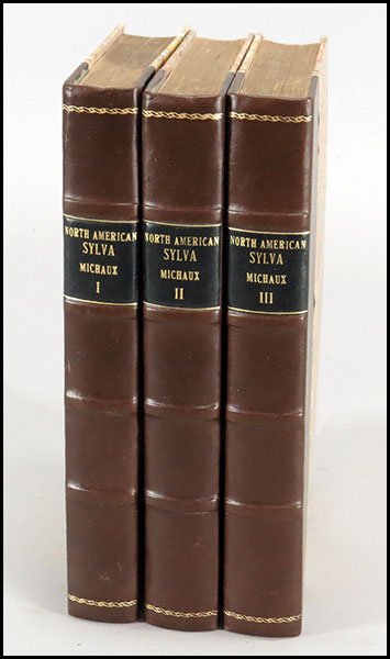 FRANCOIS ANDRE MICHAUX (FRENCH, 1770-1855) AND JOHN JAY: FRANCOIS ANDRE MICHAUX (FRENCH, 1770-1855) AND JOHN JAY SMITH (ENGLISH, 1798-1881) NORTH AMERICAN SYLVA OR A DESCRIPTION OF THE FOREST TREES OF THE UNITED STATES, CANADA, AND NOVA SCOTIA. In three vol