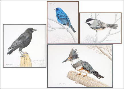 RICHARD MUELLER (AMERICAN, 20TH CENTURY) FOUR COLORED: RICHARD MUELLER (AMERICAN, 20TH CENTURY) FOUR COLORED PENCIL DRAWINGS DEPICTING BIRDS. Entitled, 'The Chipper', 'The Swinger', The Braggard', and 'The Spiker'. All signed within the drawing and titled