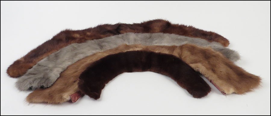 GROUP OF FOUR FUR COLLARS. Largest L: 27.5'' $50/$100: GROUP OF FOUR FUR COLLARS. Largest L: 27.5'' $50/$100 Comprised of one 'Glentex' Japanese dyed mink and three unlabeled