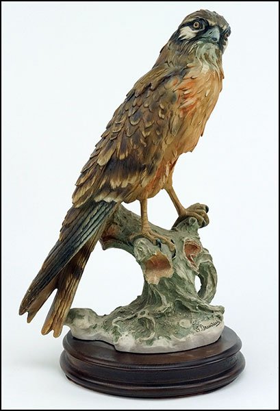 A GIUSEPPE ARMANI HAWK.: A GIUSEPPE ARMANI HAWK. Raised on a 1.5" wood base Bird: 13.5"