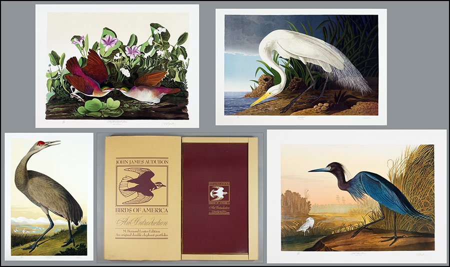 M. BERNARD LOATES (CANADIAN, B. 1945) SIX LITHOGRAPHS: M. BERNARD LOATES (CANADIAN, B. 1945) SIX LITHOGRAPHS AFTER JOHN JAMES AUDUBON. A double elephant portfolio entitled, 'John James Audubon. Birds of America: An Introduction. M. Bernard Loates Edition: