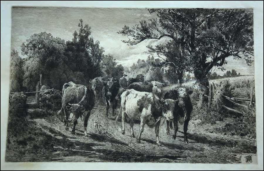 PETER MORAN (AMERICAN, 1841-1914) COWS ON THE ROAD.: PETER MORAN (AMERICAN, 1841-1914) COWS ON THE ROAD. Etching, 1885. Signed 12.5" x 19.5"