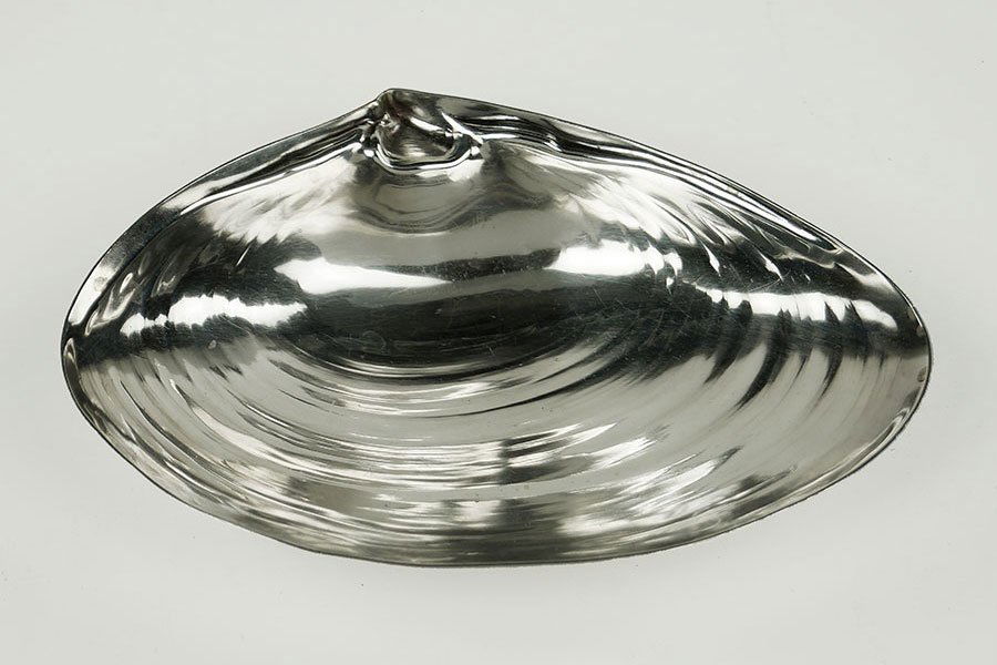 A Janna Thomas Sterling Silver Clam Shell.