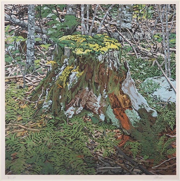 Neil Welliver (American, 1929-2005) Untitled Landscape.: Neil Welliver (American, 1929-2005) Untitled Landscape. Color woodblock print, pencil numbered 81/100 and pencil signed LR Plate: 29.5" x 30" Frame: 40" x 40"