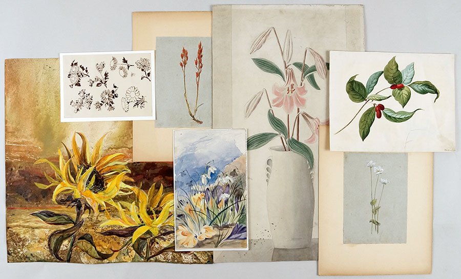 A Collection Of 19th And 20th Century Botanical: A Collection Of 19th And 20th Century Botanical Drawings. Comprising over fifteen signed and unsigned pencil, ink, or watercolor drawings. One drawing is attributed to Myles Birker Foster Largest: 21.