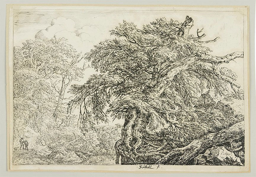 Jacob Van Ruisdael (Dutch, 1628-1682) Landscape: Jacob Van Ruisdael (Dutch, 1628-1682) Landscape With Two Men And A Dog. Etching of a duplicate from the Museum of Fine Arts Boston. Museum stamp en verso 7.5" x 11"