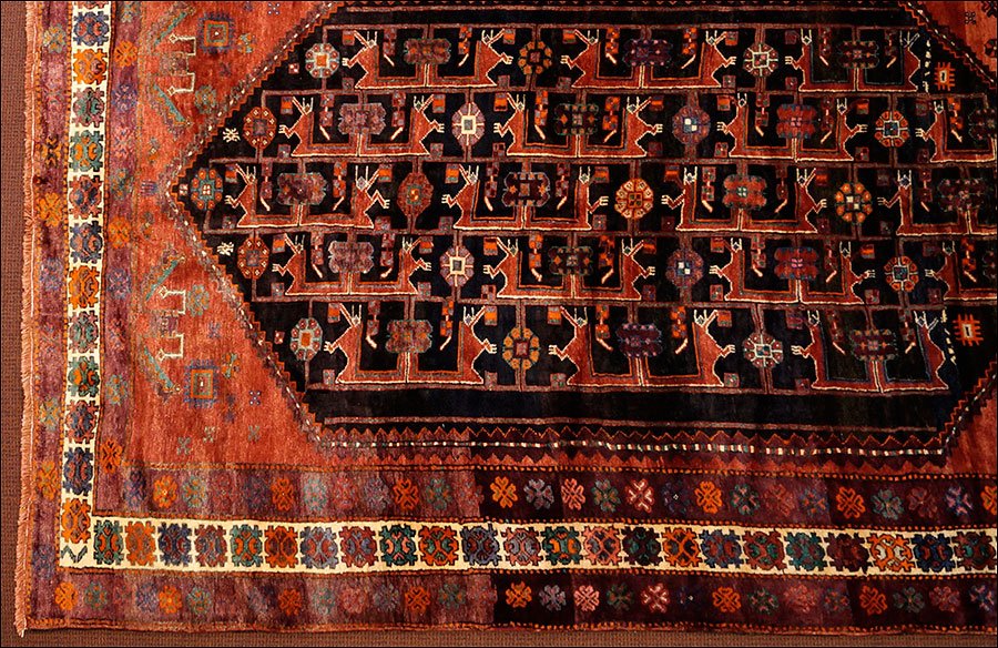 A Wool Carpet. (1 of 6)