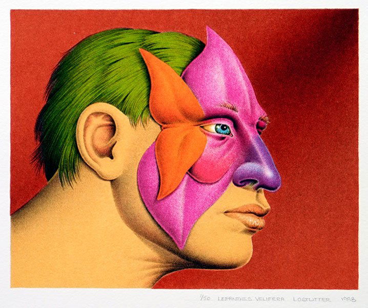 Robert Lostutter (American, B. 1939) Lepanthes (1 of 1)