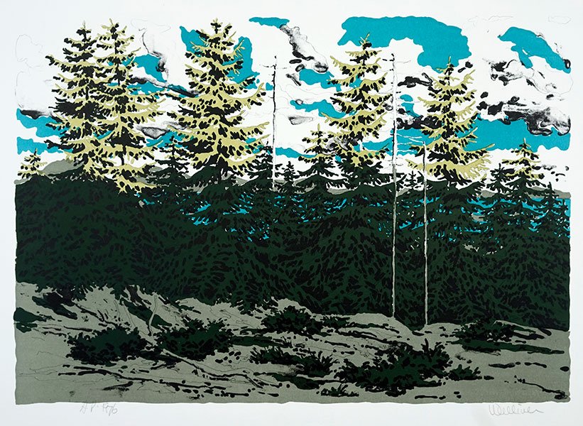 Neil Welliver (American, 1929-2005) Maine Landscape.: Neil Welliver (American, 1929-2005) Maine Landscape. Color lithograph, pencil inscribed 'A.P.' and dated 1970 LL, pencil signed LR Sight: 18" x 26" Sheet: 22" x 30"