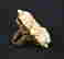 item-42534676=2