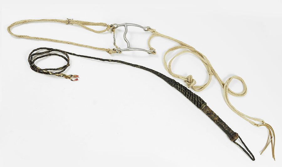 A Twine Braided Bridle. (1 of 1)