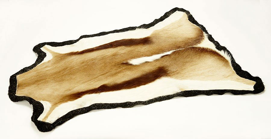 A Deer Hide Rug. (1 of 1)