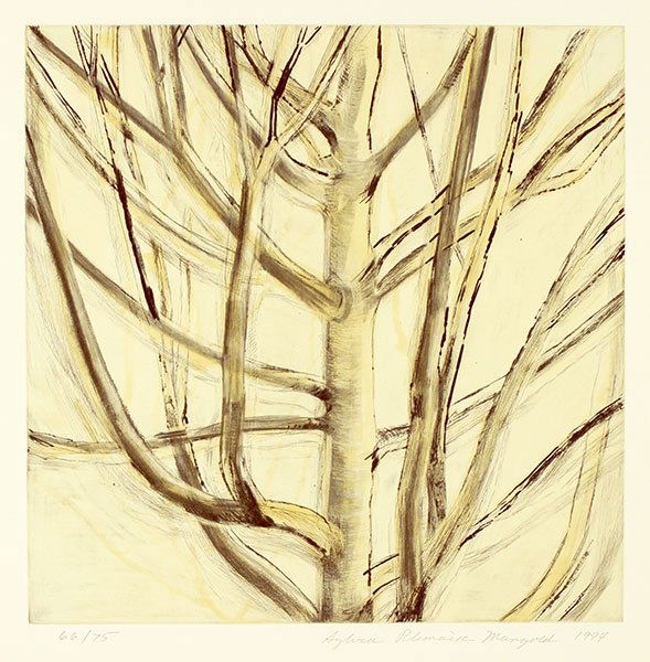 Sylvia Plimack Mangold (American, B. 1938) Tree. (1 of 1)