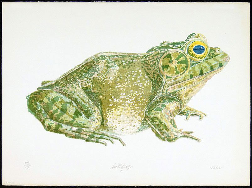 Don Nice (American, B. 1932) Bullfrog. (1 of 1)