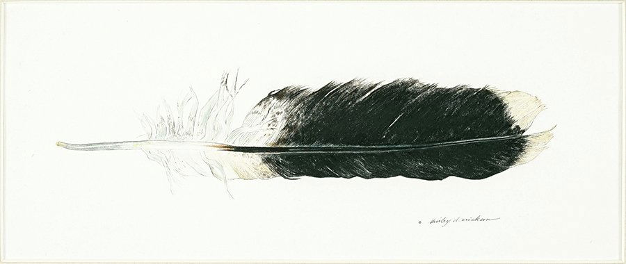 Shirley D. Erickson (American, 20th Century) Harris (1 of 1)