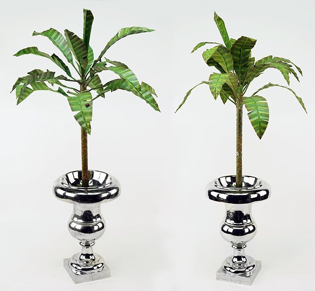 A Pair of Tole Trees.: A Pair of Tole Trees. Green painted metal standing within mercury glass vases Overall height: 38"