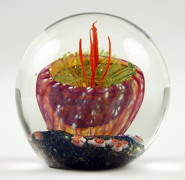 A Rick Satava Glass Paperweight. (1 of 1)