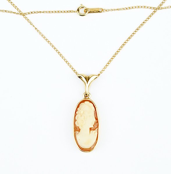 A Cameo Pendant.: A Cameo Pendant. 14 karat yellow gold mounting contains an oval shell cameo. Together with a 14 karat yellow gold pendant Wt of both: 4.8 grams