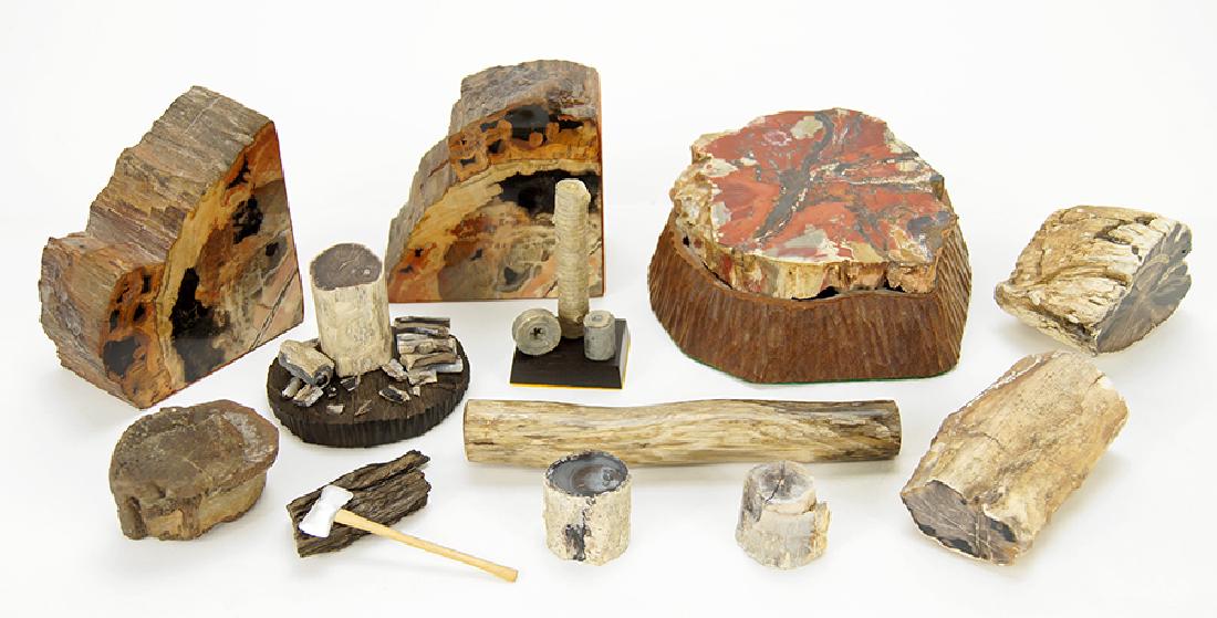 A Collection of Petrified Wood. (1 of 1)