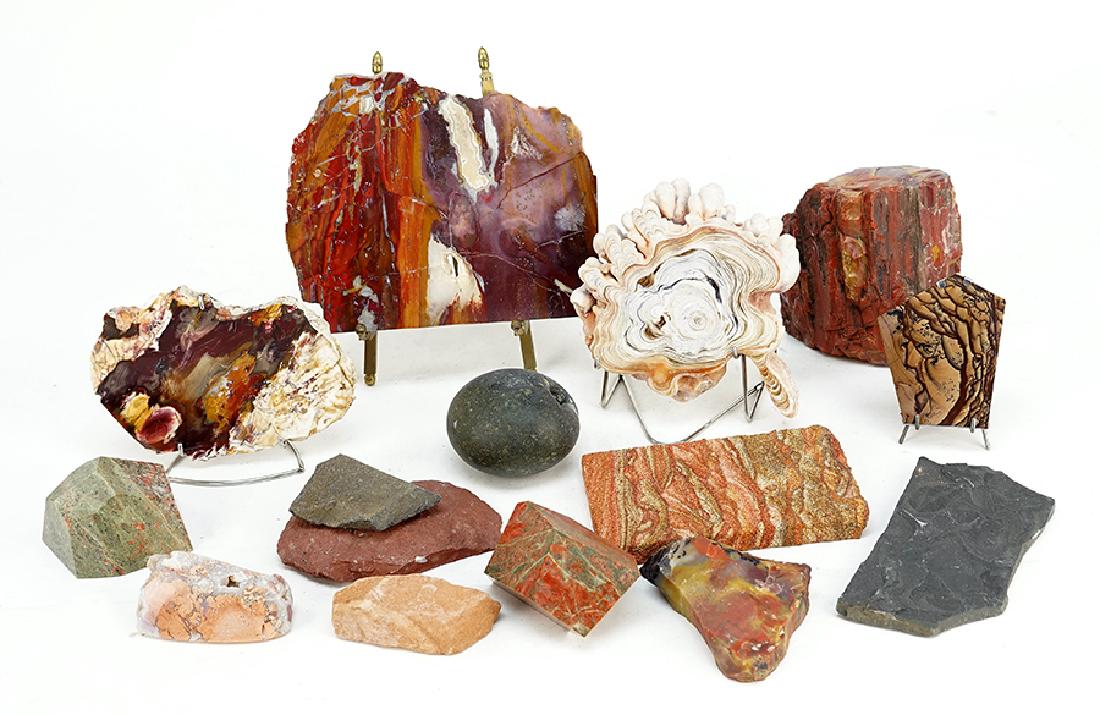 A Collection of Petrified Jasper. (1 of 1)