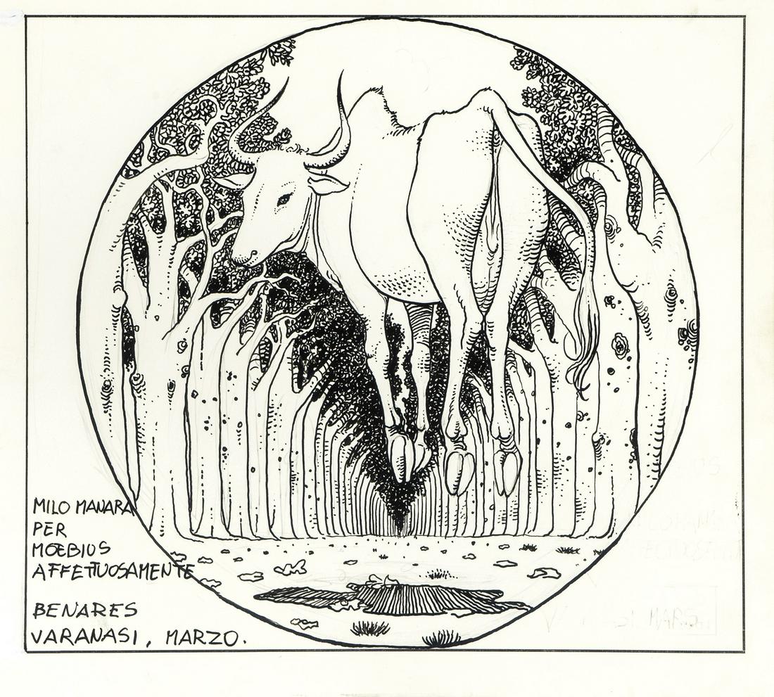 Manara Milo - "Omaggio a Moebius", 1987: Manara Milo - "Omaggio a Moebius", 1987 ITA matita e china su cartoncino, 24,5 x 21,5 cm Illustrazione originale realizzata da Manara per l'amico e collega Moebius durante un viaggio in India,