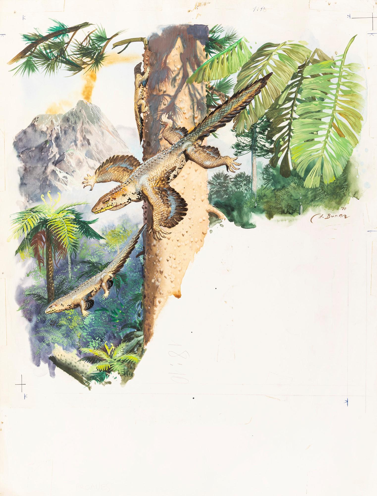 Burian Zdenek - "Gli animali della Preistoria - Proaves", 1971 (1 of 2)