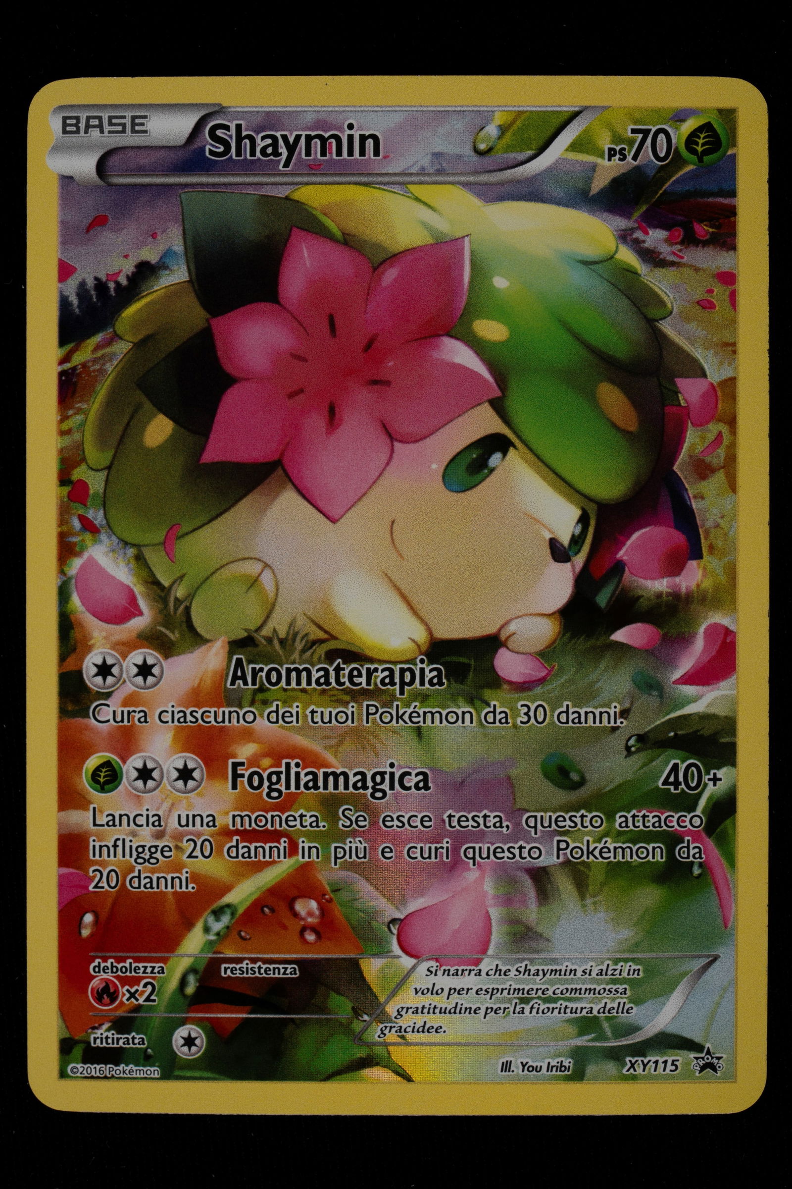 Pokémon - Shaymin Promo XY 20th Anniversary Italian - RAW: Shaymin Promo (XY115) is one of the gems of the 20th Anniversary collection, famous for KirisAki's artwork depicting the Gratitude Pokémon in a pastel-colored flower meadow. In this Italian edition,