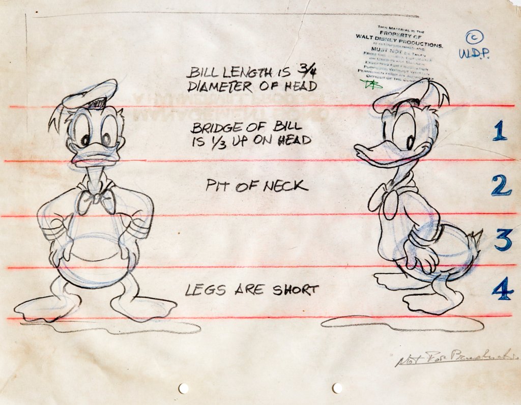 A.N.I. Disney - Donald Duck model sheet, anni '40/'50: Donald Duck model sheet, anni '40/'50 ITA china e matite colorate su carta, 27,5 x 21,5 cm Studio originale per la realizzazione anatomica di Paperino eseguito dallo Studio Disney tra gli anni '40 e '