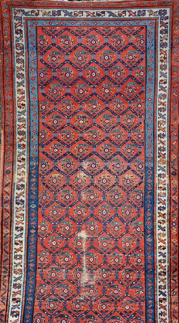 Northwest Persian Runner, (1 of 1)