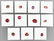 Lot 11 loose spinels, total approx. 15.78 ct