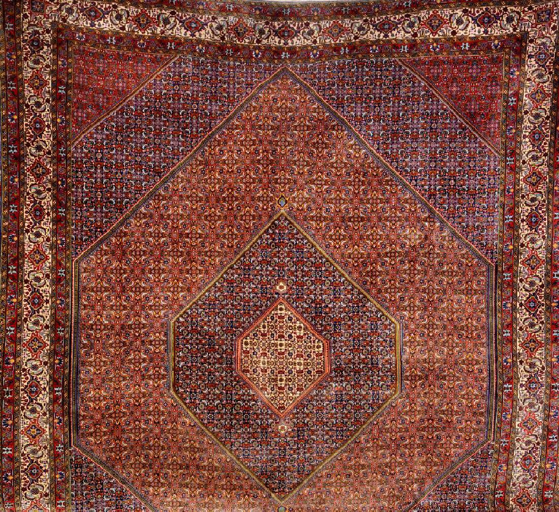 Bijar Carpet, (1 of 1)