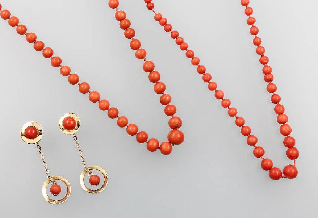 Lot with coral, Italy (1 of 1)