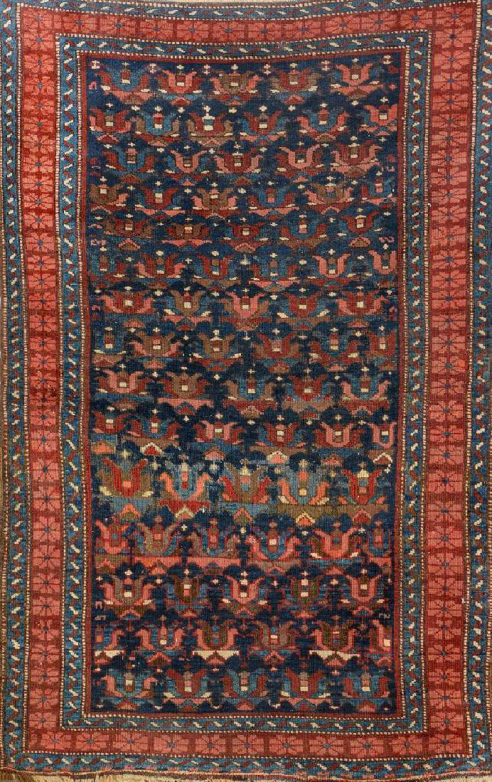 Kuba-Shirvan Rug, (1 of 1)