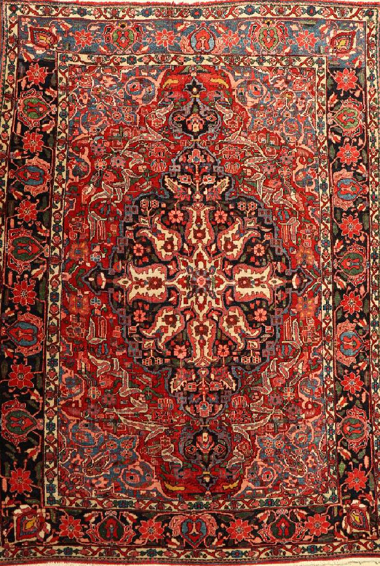 Bakhtiar Rug, (1 of 1)