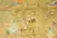item-61970088=4