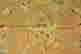 item-61970088=6