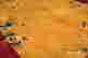 item-61970092=2