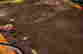 item-61970094=2