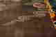 item-61970094=7