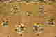 item-61970109=5