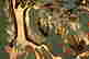 item-61970111=4
