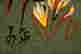 item-61970111=5