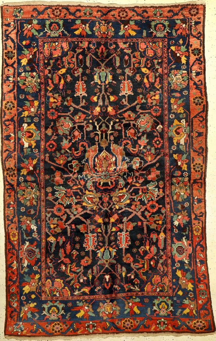Bakhtiar Rug, (1 of 1)
