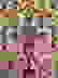 item-77805873=5