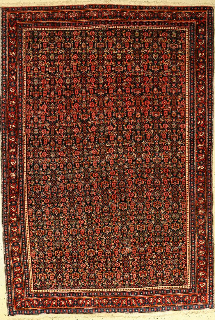 Fine Senneh old rug, Persia, around 1930, wool on (1 of 1)